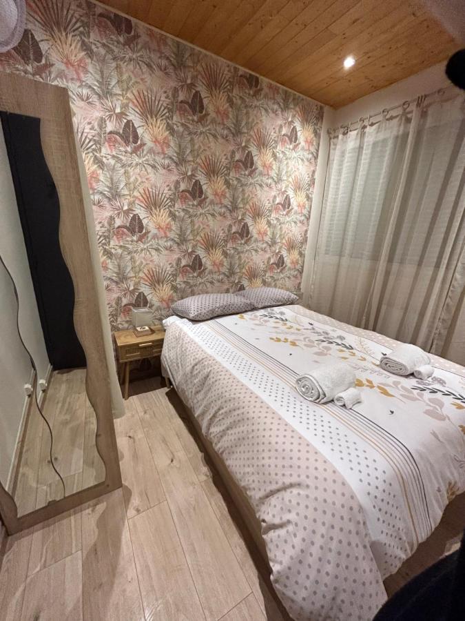 Appartement De Luxe En R/C Idealment Place En Hyper Centre ลูร์ด ภายนอก รูปภาพ